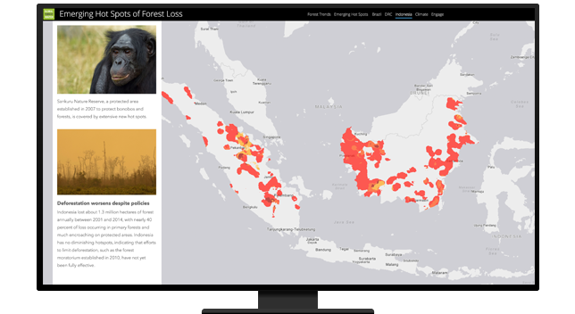 Carte des points émergents de déforestation