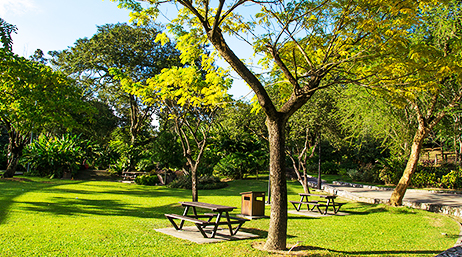 A park with green grass, trees, picnic tables, and garbage receptacles 