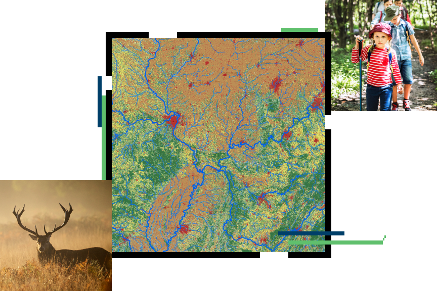 A green, orange, yellow, and red map with water sources in blue, a family hiking on a shaded green trail, and a buck surrounded by tall, golden grass