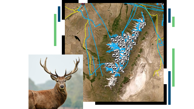 Deer with large antlers and a map of a natural area