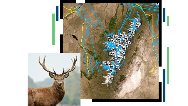 Hirsch mit großem Geweih und eine Karte mit Naturgebieten