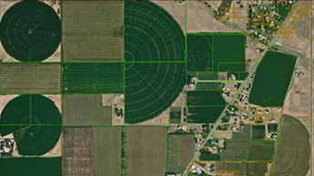 An aerial view of green irrigation circles and other farmland