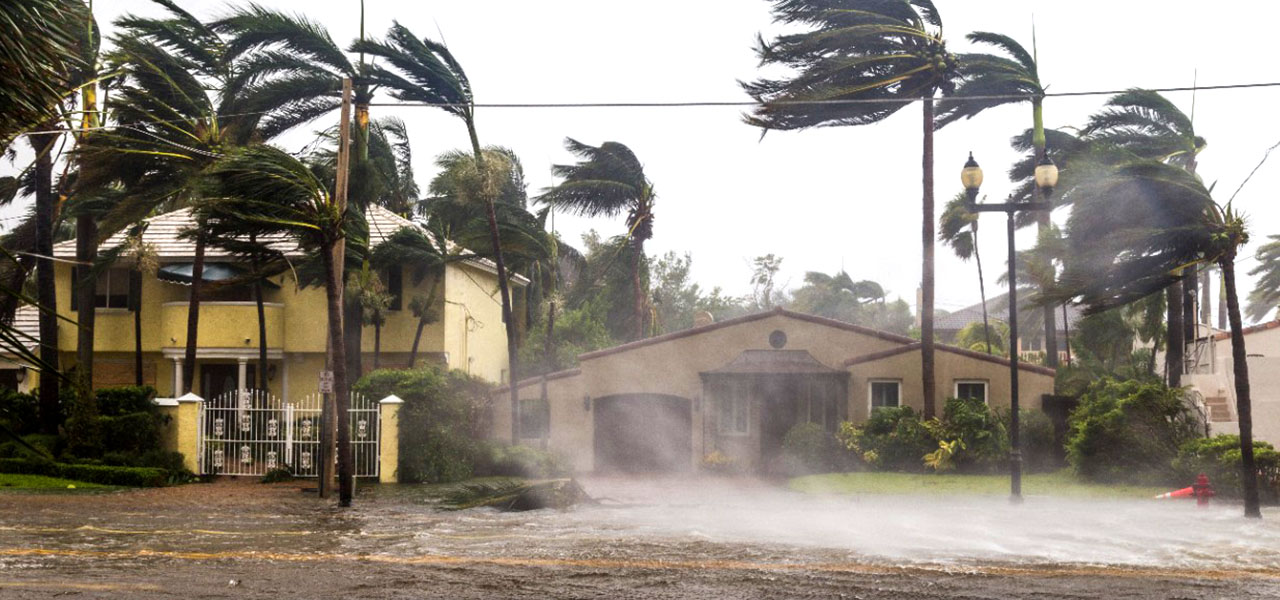 Photo de maisons en stuc ocre le long d’une rue inondée et entourée de palmiers verdoyants balayés par de fortes rafales de vent