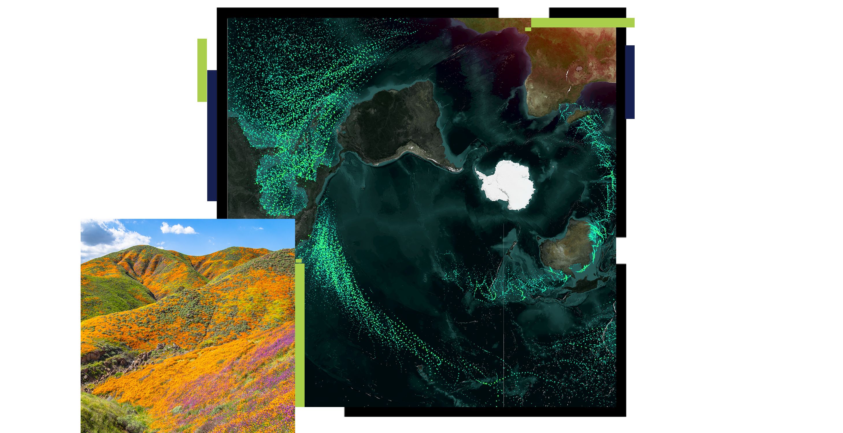 Two squares with a colorful field blooming with flowers and a space view Antarctica 
