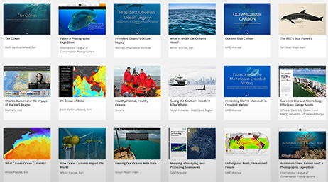 A webpage of ocean ArcGIS StoryMaps in resource cards