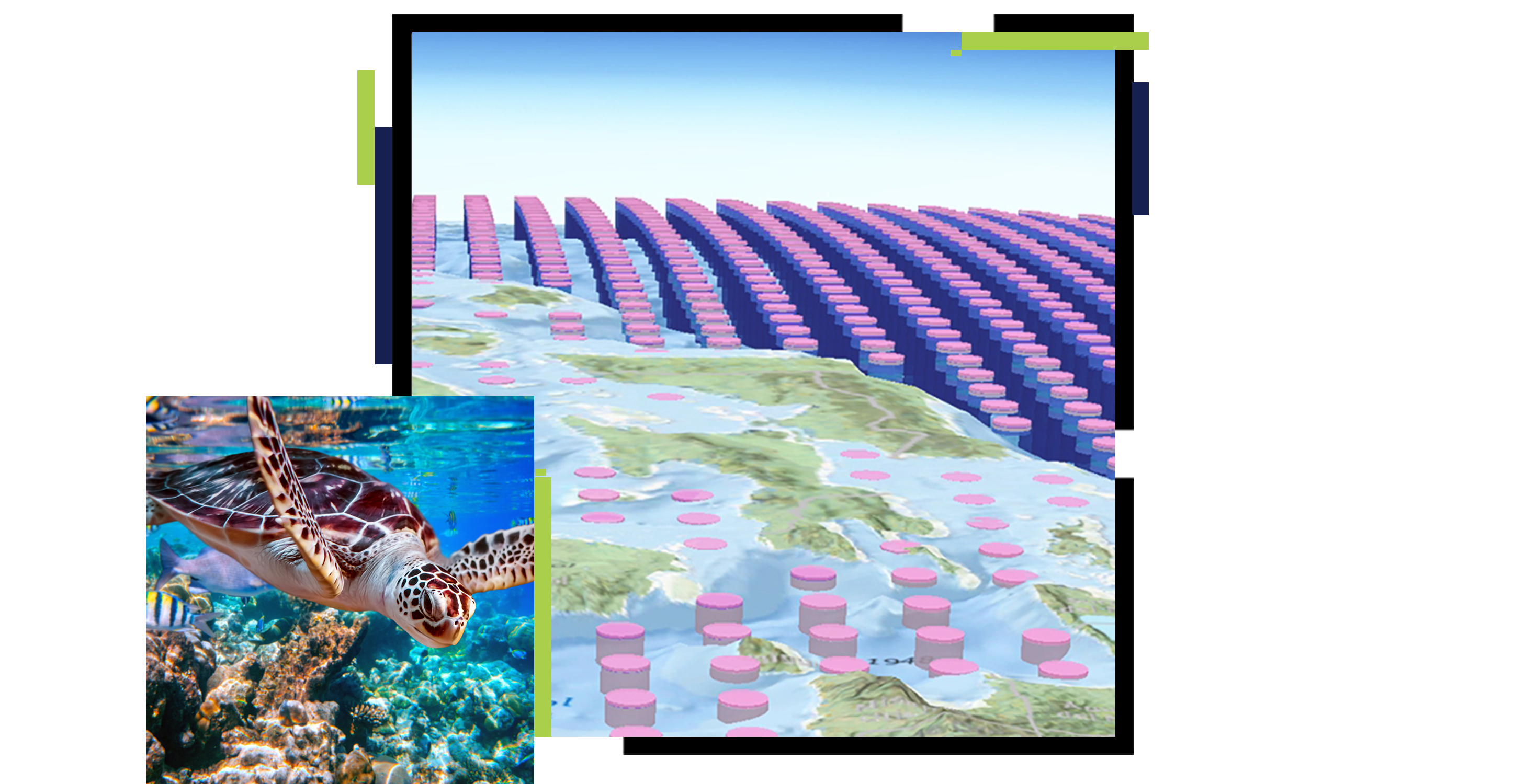 Two squares showing a turtle swimming under clear water near a core reef and a map with illustrated purple cylinders coming out of the ocean to show sea level