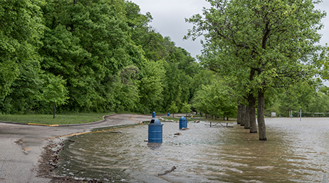 A parking lot entirely submerged in brown floodwater beside a tree-lined public park
