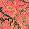 Two side-by-side satellite views of the same area—one with a few buildings highlighted in blue and the other with every structure shaded in red
