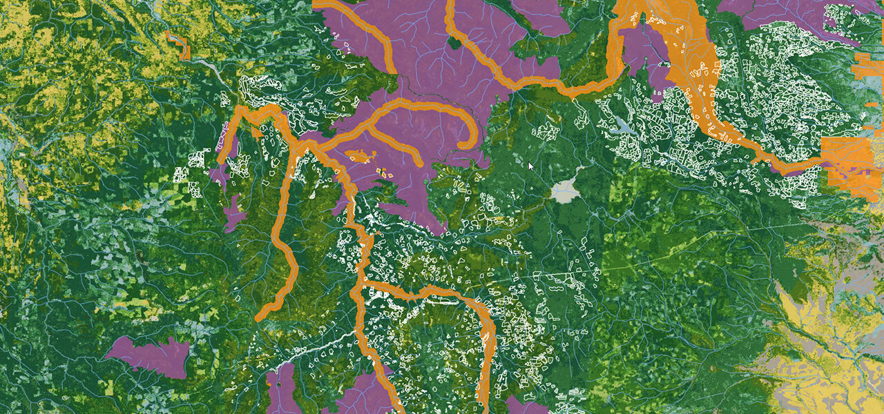 A forest map in green with routes and features detailed in white, orange, and purple