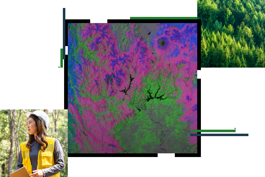 A contour map in bright blue, green, and pink, beside a small photo of a person in a yellow vest and hardhat standing in a forest, and a photo of sunlit green treetops