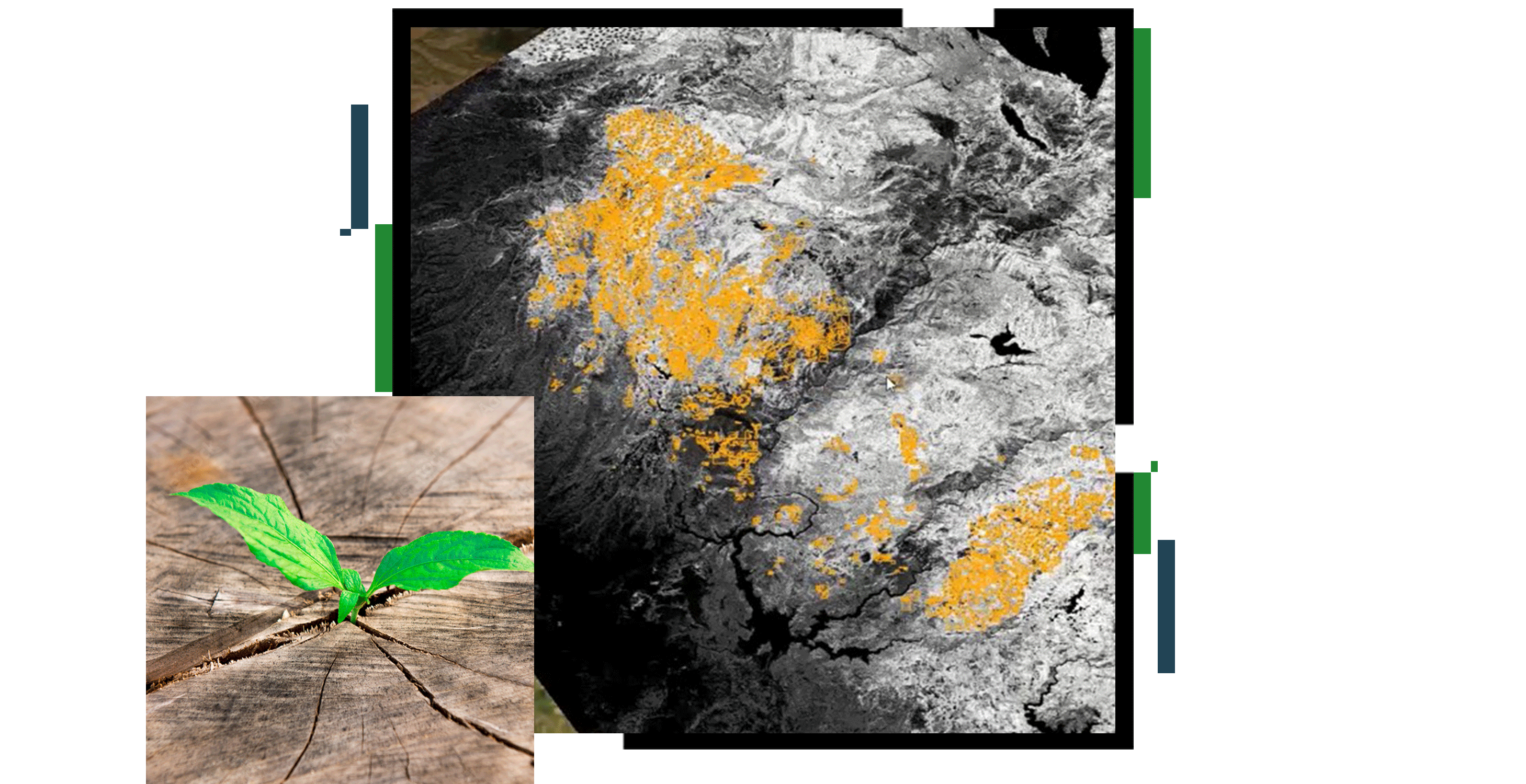 A contour map in white on black with parts highlighted in yellow, overlaid with a closeup photo of a bright green sprout emerging from a crack in dry earth