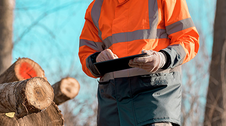 A person wearing high-visibility orange and gray safety gear operates a tablet in an outdoor setting. 