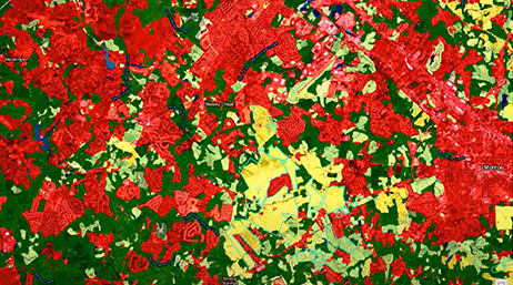 A screencap from the featured video showing a forest map with many areas shaded in red, yellow, and lighter green on a dark green background
