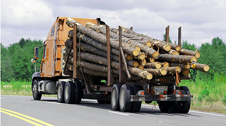 A photo of a yellow big rid hauling a large stack of logs on a sunny tree-lined highway