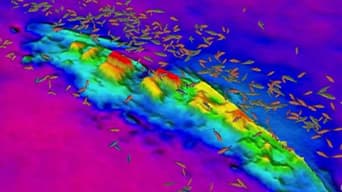 A 3D heat map showing the size and location of fish over the wreck of the USS Shurz 