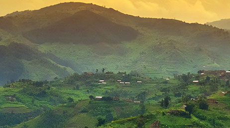 A photo of a lush green pastoral landscape dotted with trees with rolling green mountains in the background against a hazy golden sunrise sky
