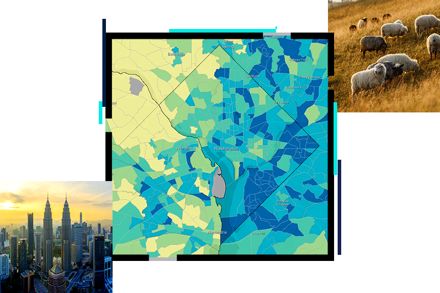 A heat map in blue and green, overlaid with a photo of sheep on a pastoral hillside and a photo of an city skyline at sunrise