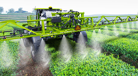 A photo of a green  crop sprayer in a sunlit field of bright green crops