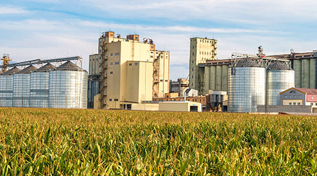 A photo of a factory in white and tan beside a field of green and yellow crops under a hazy sky