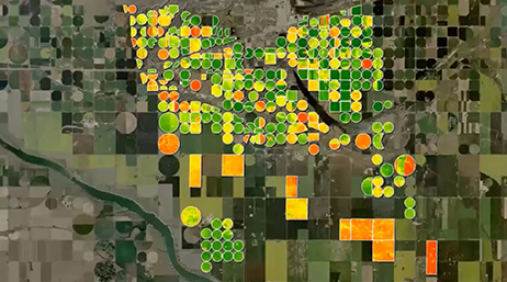 Vista aérea de campos agrícolas com seções sobrepostas com mapas de calor para mostrar diferenças no crescimento