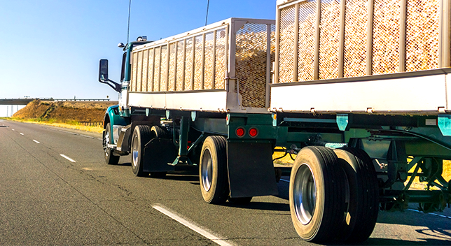 A photo of a big rig driving on a sunny highway towing several open-top trailers full of onions