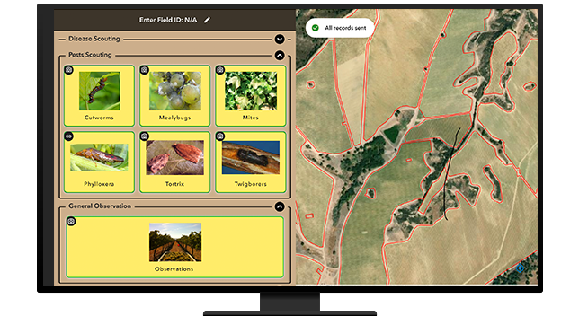 A graphic of a computer monitor displaying a map of green and brown farmland, alongside tables of local pest data