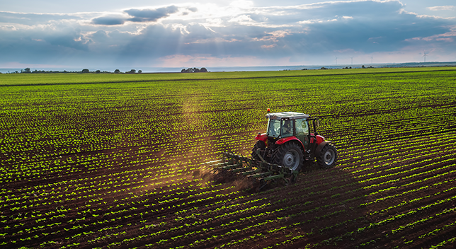 A photo of a red tractor driving through a sunlit brown field with green rows of crops
