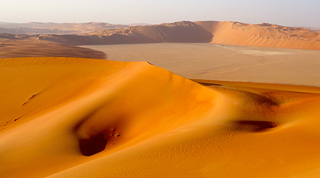 Sprawling sand dunes covered in golden sunlight