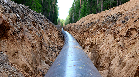 A large black pipe lying exposed in an open dirt trench surrounded by tall green forest trees