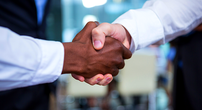Photo of two hands clasped in a handshake against a blurry blue and white background