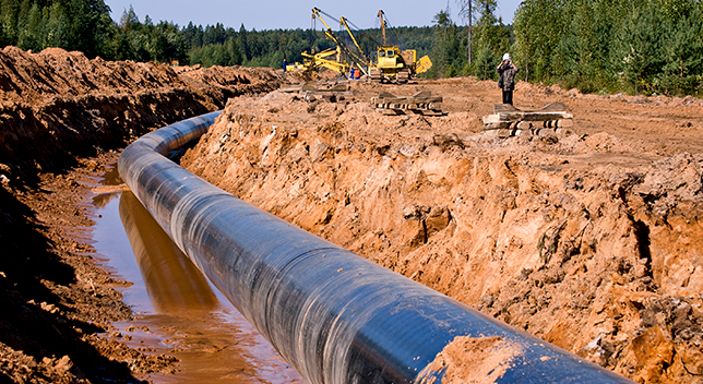 A large black utility pipe exposed in a deep freshly-dug trench in wet brown earth surrounded by construction cranes in a heavily wooded field