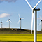 A rolling green field covered in rows of white wind turbines under a clear blue sky