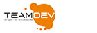 TeamDev logo