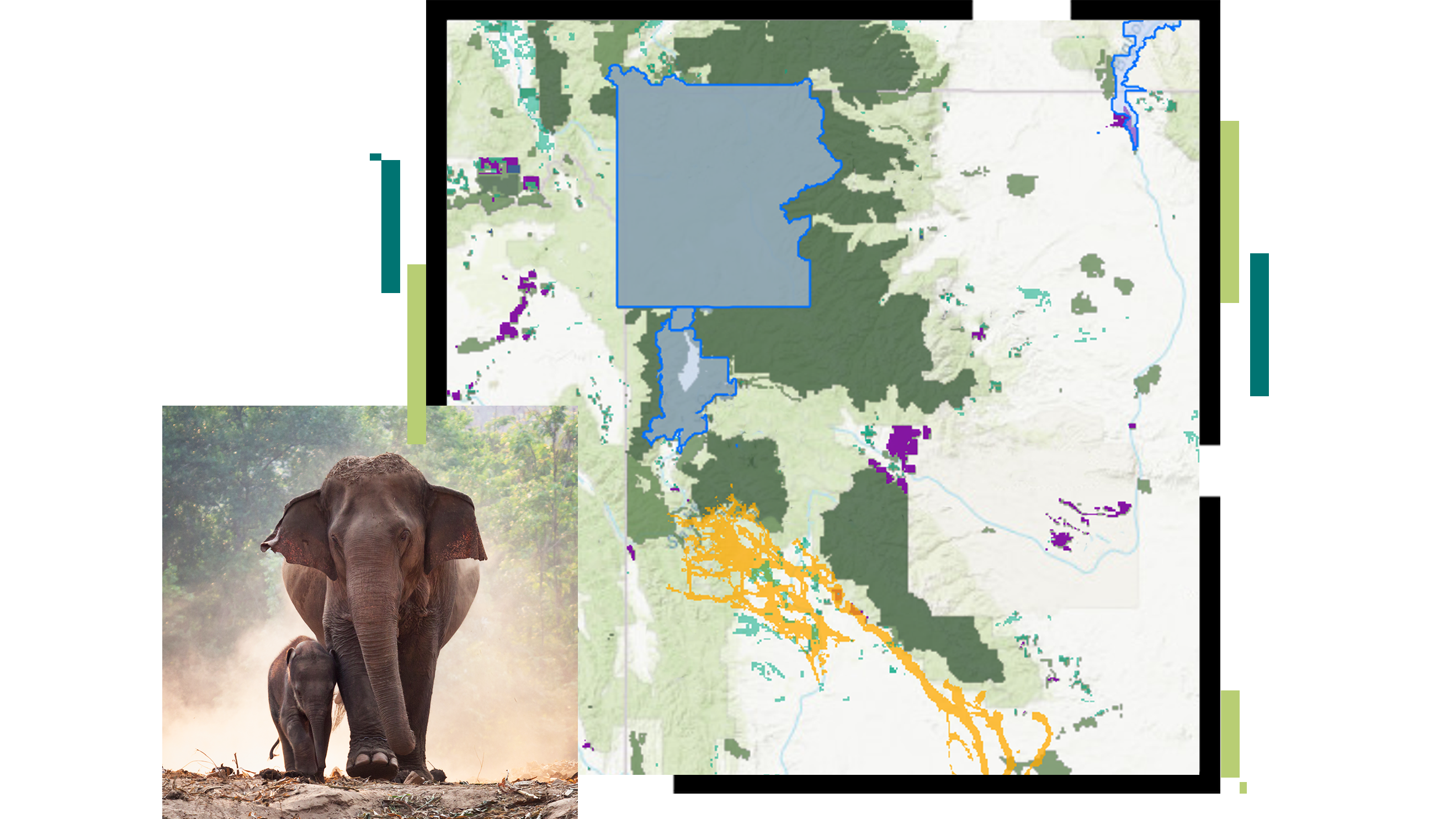 Un mapa con un área de conservación propuesta delineada en azul superpuesta con una imagen de un elefante y su cría