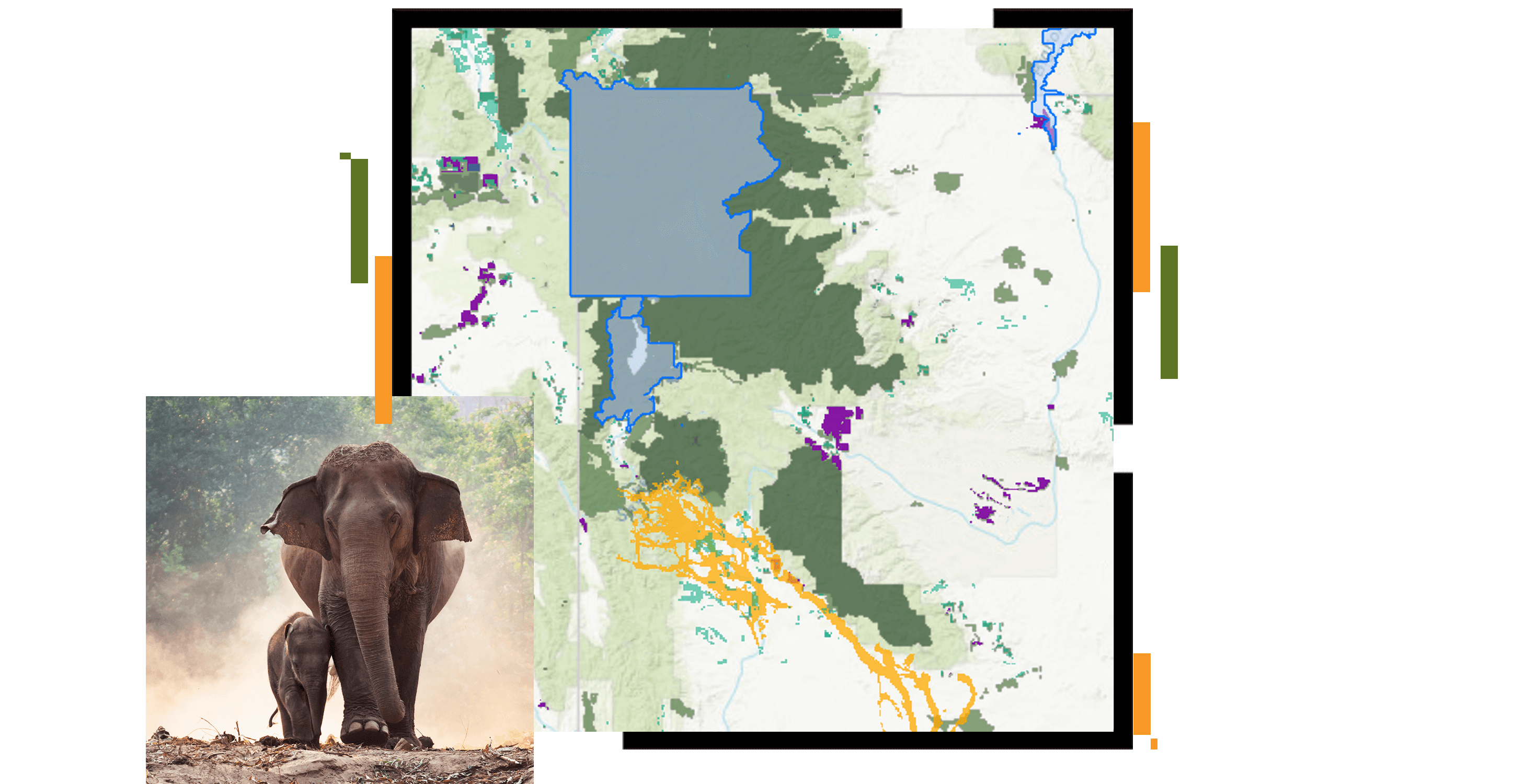 Adult and baby elephants walking together, map of conservation land