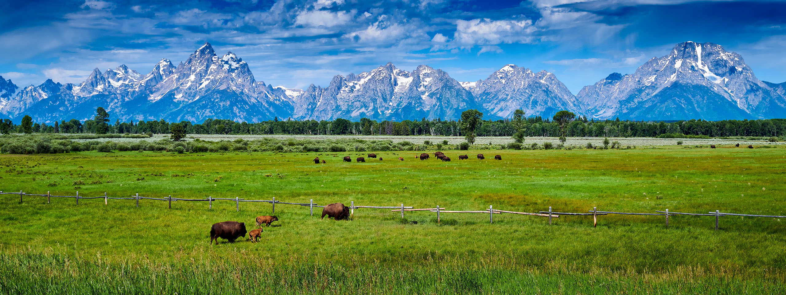 Conservation Land Management Solutions & Protected Area Management