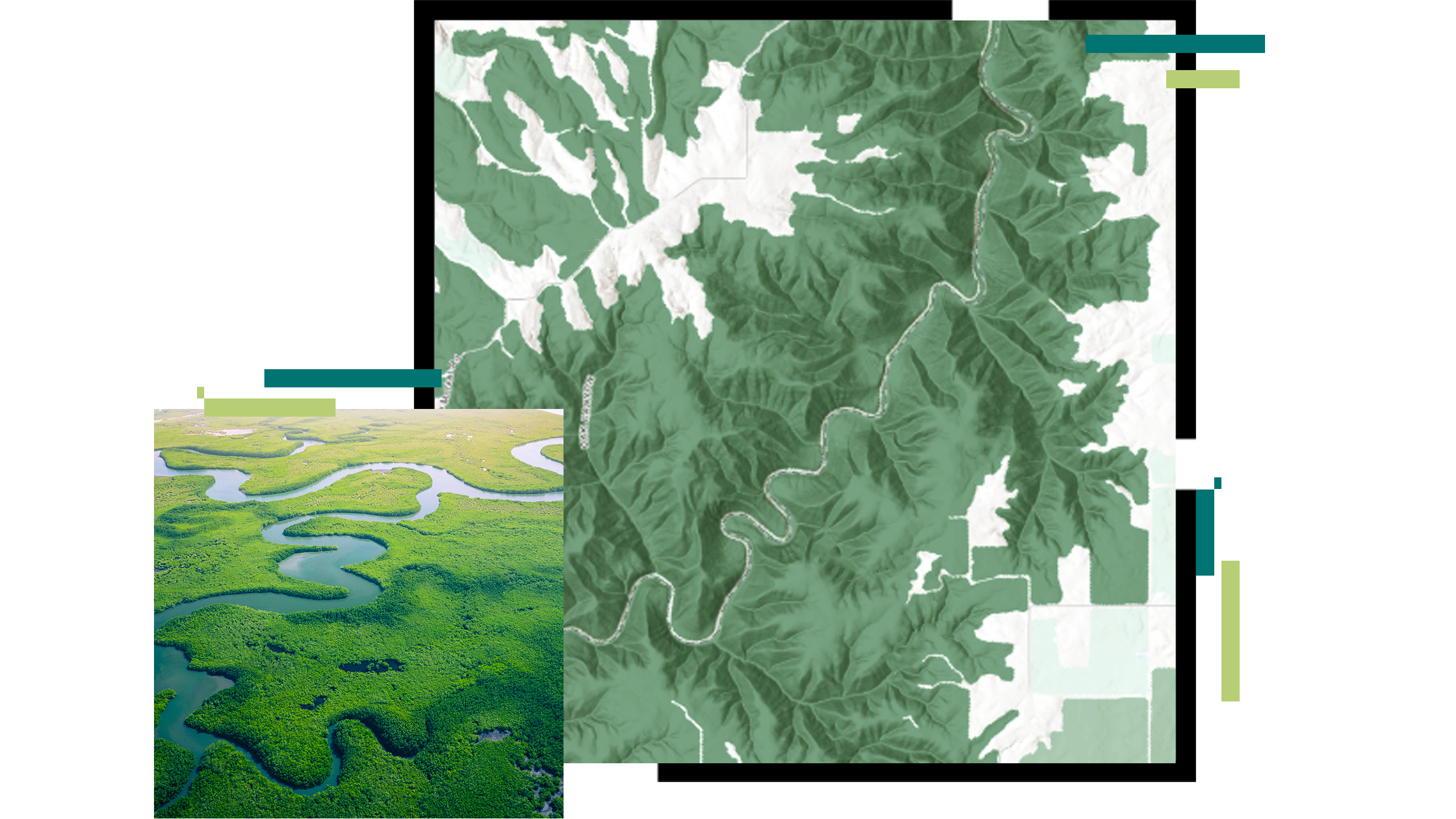 Um mapa em relevo de um rio sinuoso sobreposto a uma imagem aérea de uma floresta de mangue verde brilhante com um rio azul fluindo através dele