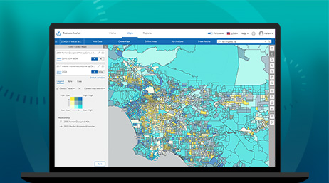 ArcGIS Business Analyst map