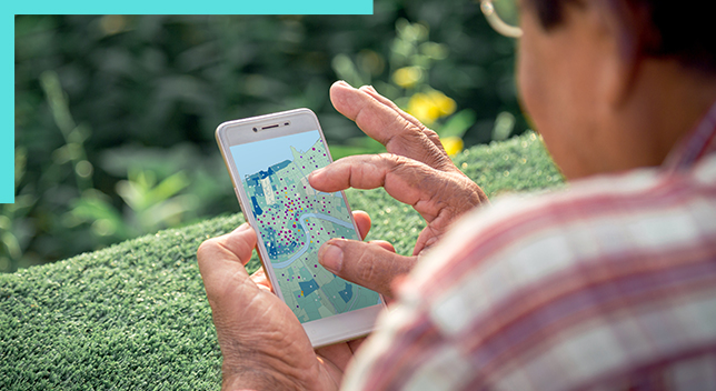 A photo of a person in a pink and white plaid shirt navigating an online map on a mobile phone held in their hands with a green sunny park in the background