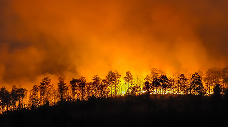 Fire burning on a hill