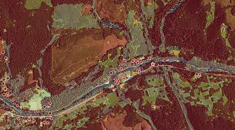 Aerial image of forest