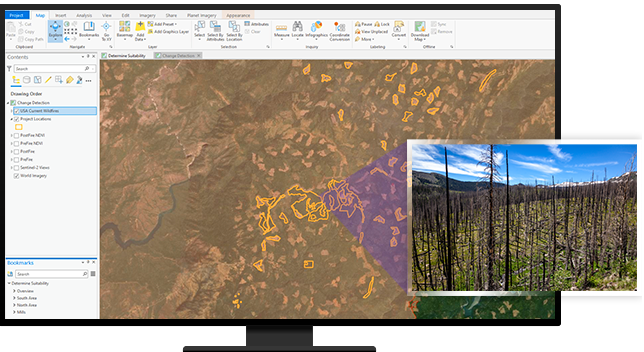 Forest map of change detection and photo of burned trees