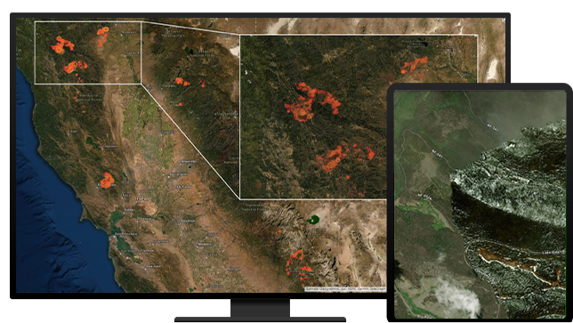 Map of wildfires and a photo of the burned area