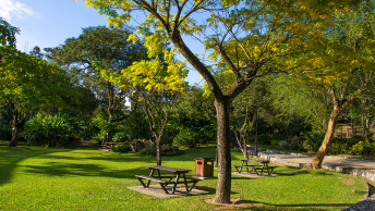 A park with picnic tables, trash bins, green grass, and many green trees