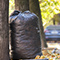 A tall black trash bag filled with leaves leaning on a tree trunk with a sunlit tree-filled neighborhood in the out-of-focus background