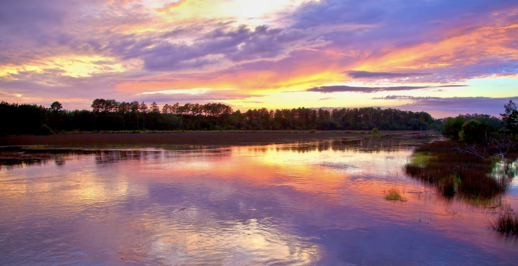 Marshlands with trees in the distance surrounded by water reflecting colors of a pastel sky 