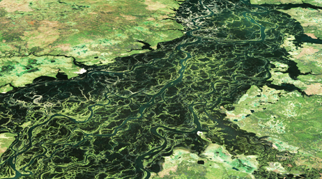 An aerial photo of a vast green wetlands area with a wide dark green river winding through mottled lighter green and brown land