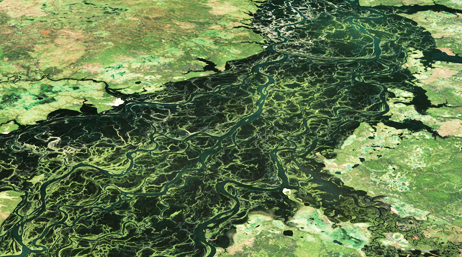 Photo aérienne d'une vaste étendue verte de marécages avec une large rivière vert foncé serpentant entre des terres mouchetées en marron et vert plus clair