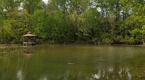 A photo of a heavily wooded area with a small pavilion built over a large green lake