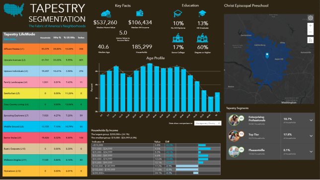 Dashboard with Tapestry Segmentation data including charts and a map